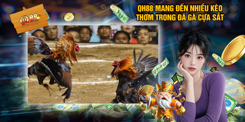 Luật đá gà cựa sắt chuyên nghiệp và công bằng